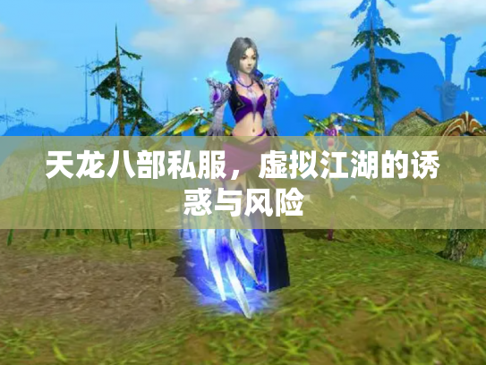天龙八部私服，虚拟江湖的诱惑与风险