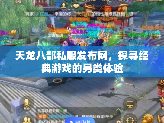 天龙八部私服发布网，探寻经典游戏的另类体验