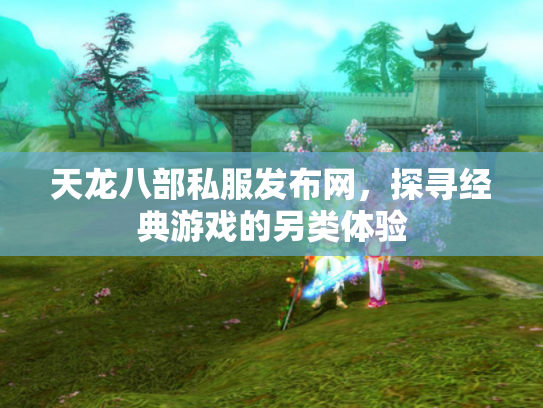天龙八部私服发布网，探寻经典游戏的另类体验