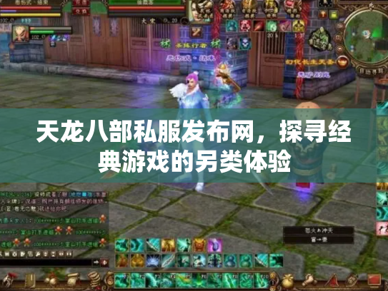 天龙八部私服发布网，探寻经典游戏的另类体验