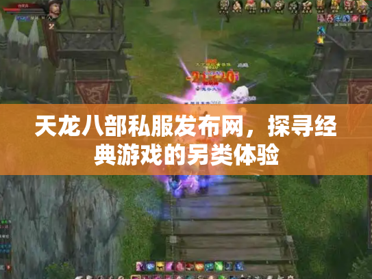 天龙八部私服发布网，探寻经典游戏的另类体验