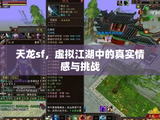 天龙sf，虚拟江湖中的真实情感与挑战