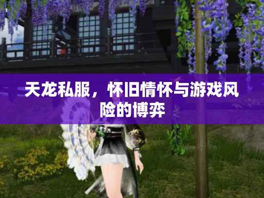 天龙私服，怀旧情怀与游戏风险的博弈