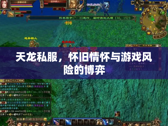 天龙私服，怀旧情怀与游戏风险的博弈