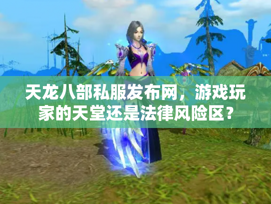 天龙八部私服发布网，游戏玩家的天堂还是法律风险区？