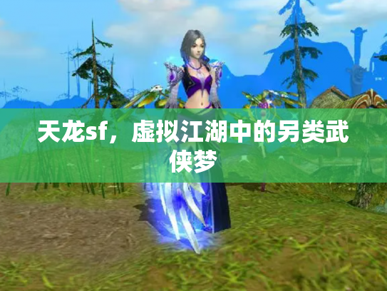 天龙sf，虚拟江湖中的另类武侠梦