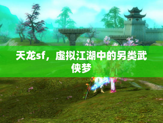 天龙sf，虚拟江湖中的另类武侠梦