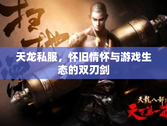 天龙私服，怀旧情怀与游戏生态的双刃剑