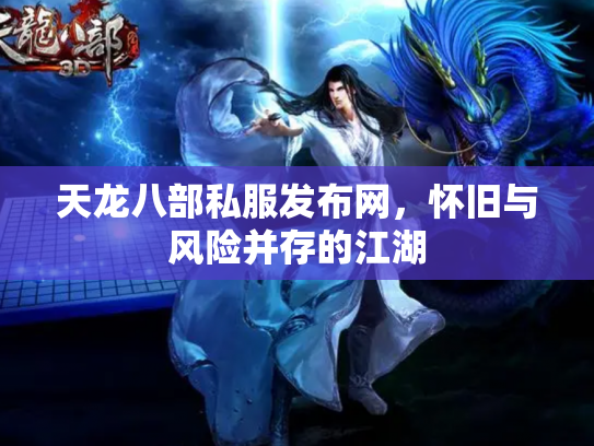 天龙八部私服发布网，怀旧与风险并存的江湖