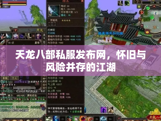 天龙八部私服发布网，怀旧与风险并存的江湖