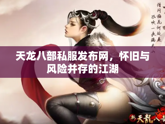 天龙八部私服发布网，怀旧与风险并存的江湖