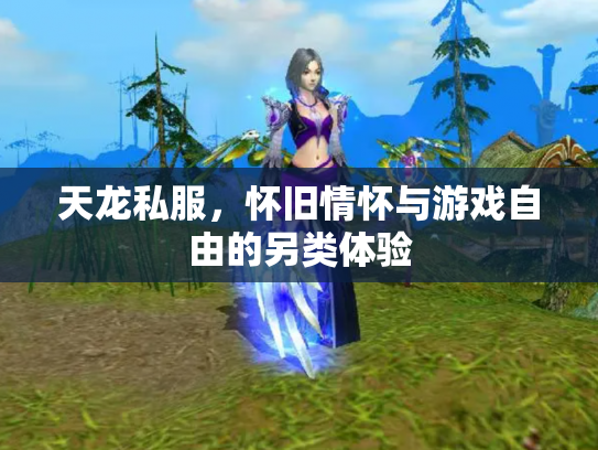 天龙私服，怀旧情怀与游戏自由的另类体验