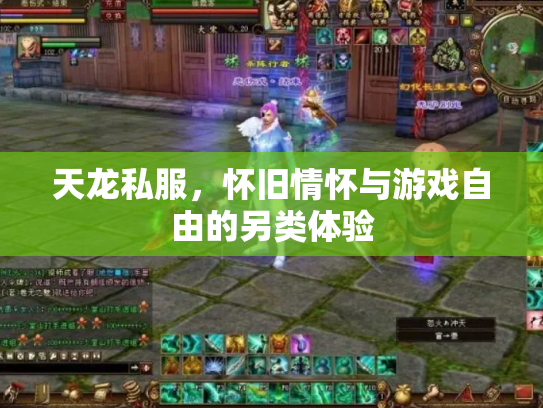 天龙私服，怀旧情怀与游戏自由的另类体验