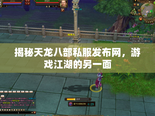 揭秘天龙八部私服发布网，游戏江湖的另一面