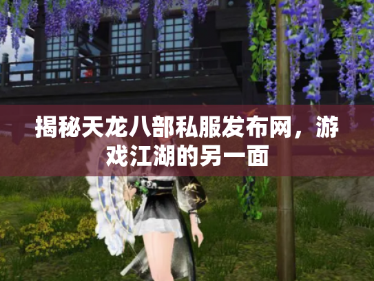 揭秘天龙八部私服发布网，游戏江湖的另一面