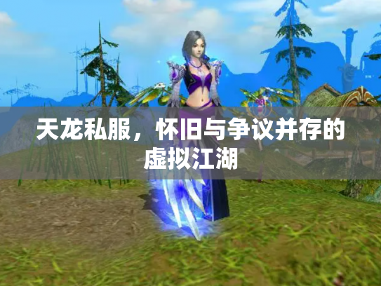 天龙私服，怀旧与争议并存的虚拟江湖