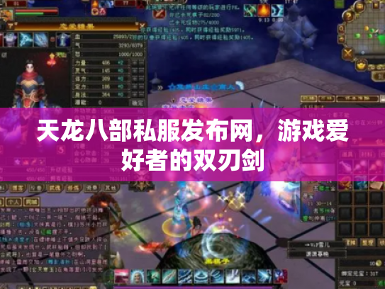 天龙八部私服发布网，游戏爱好者的双刃剑