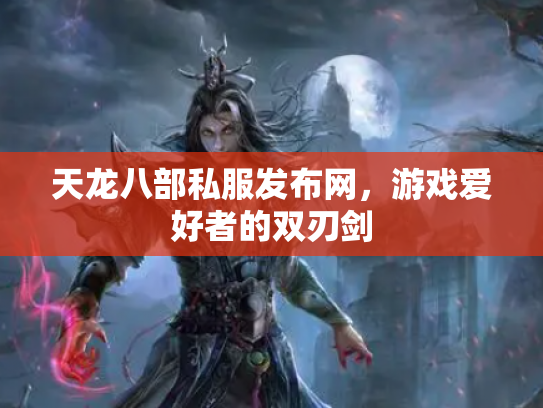 天龙八部私服发布网，游戏爱好者的双刃剑