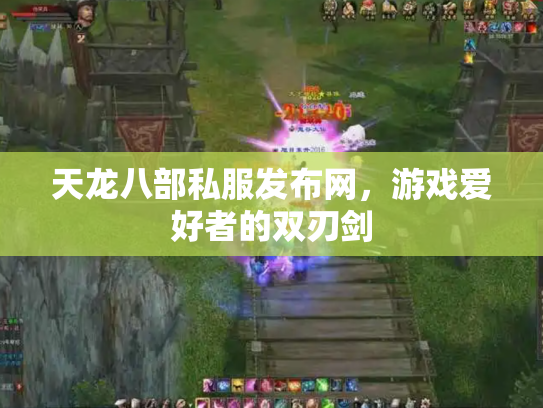 天龙八部私服发布网，游戏爱好者的双刃剑