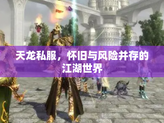 天龙私服，怀旧与风险并存的江湖世界