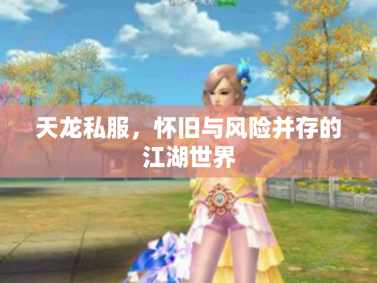 天龙私服，怀旧与风险并存的江湖世界