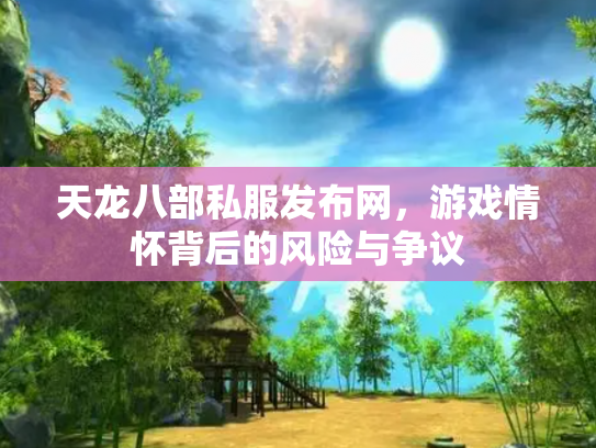 天龙八部私服发布网，游戏情怀背后的风险与争议