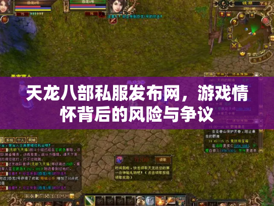天龙八部私服发布网，游戏情怀背后的风险与争议