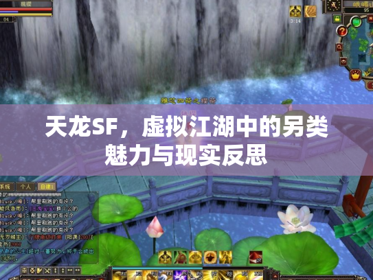 天龙SF，虚拟江湖中的另类魅力与现实反思