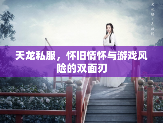 天龙私服，怀旧情怀与游戏风险的双面刃