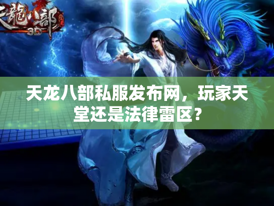 天龙八部私服发布网，玩家天堂还是法律雷区？