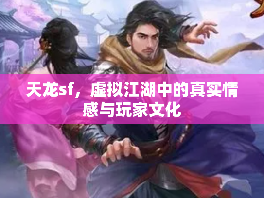 天龙sf，虚拟江湖中的真实情感与玩家文化