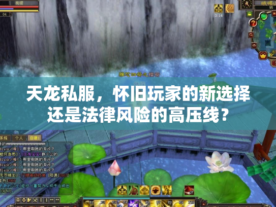 天龙私服，怀旧玩家的新选择还是法律风险的高压线？