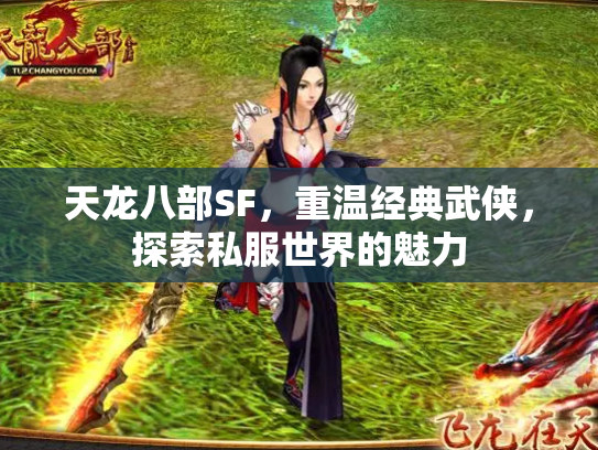 天龙八部SF，重温经典武侠，探索私服世界的魅力
