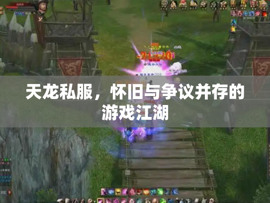 天龙私服，怀旧与争议并存的游戏江湖