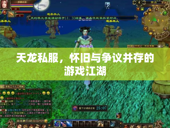 天龙私服，怀旧与争议并存的游戏江湖