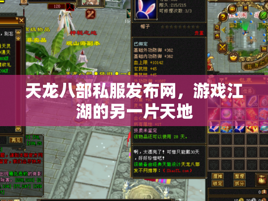天龙八部私服发布网，游戏江湖的另一片天地