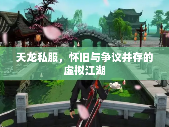 天龙私服，怀旧与争议并存的虚拟江湖