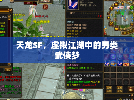 天龙SF，虚拟江湖中的另类武侠梦