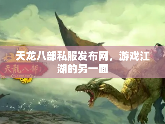 天龙八部私服发布网，游戏江湖的另一面