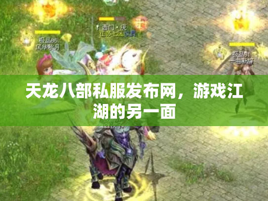 天龙八部私服发布网，游戏江湖的另一面