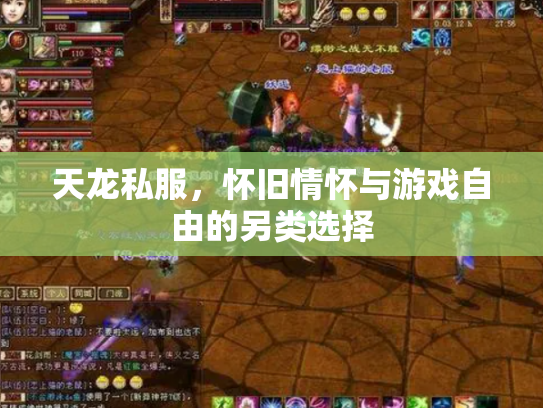 天龙私服，怀旧情怀与游戏自由的另类选择