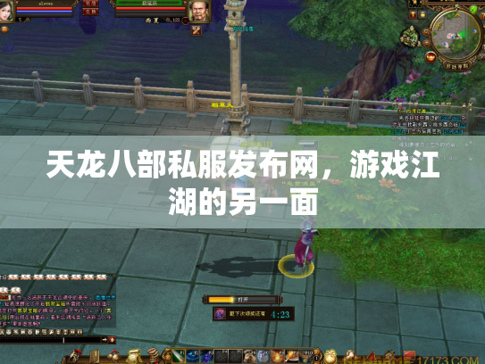 天龙八部私服发布网，游戏江湖的另一面