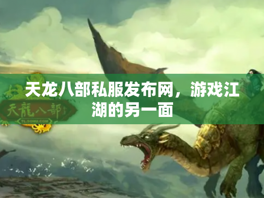 天龙八部私服发布网，游戏江湖的另一面
