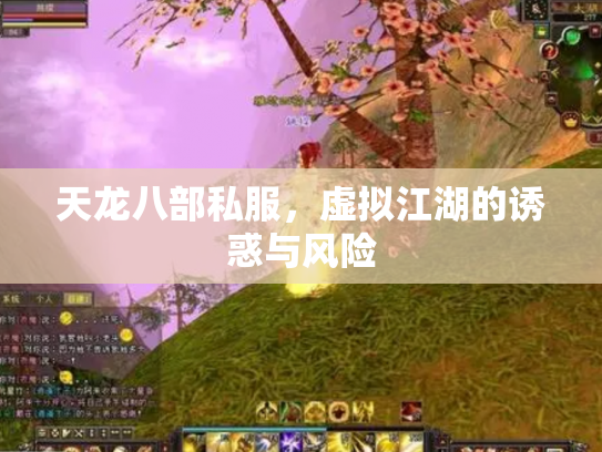 天龙八部私服，虚拟江湖的诱惑与风险