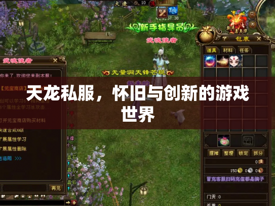 天龙私服，怀旧与创新的游戏世界
