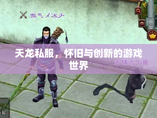 天龙私服，怀旧与创新的游戏世界