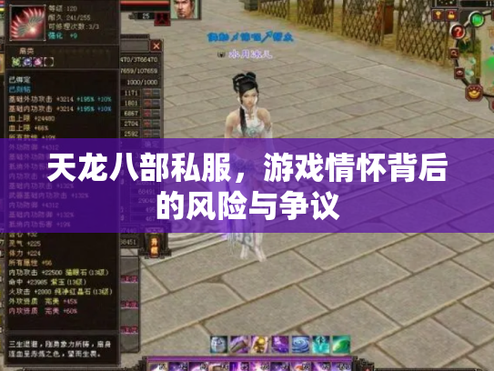 天龙八部私服，游戏情怀背后的风险与争议