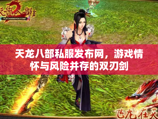 天龙八部私服发布网，游戏情怀与风险并存的双刃剑