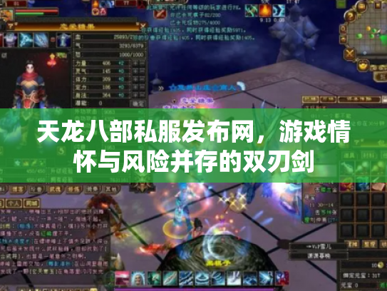 天龙八部私服发布网，游戏情怀与风险并存的双刃剑