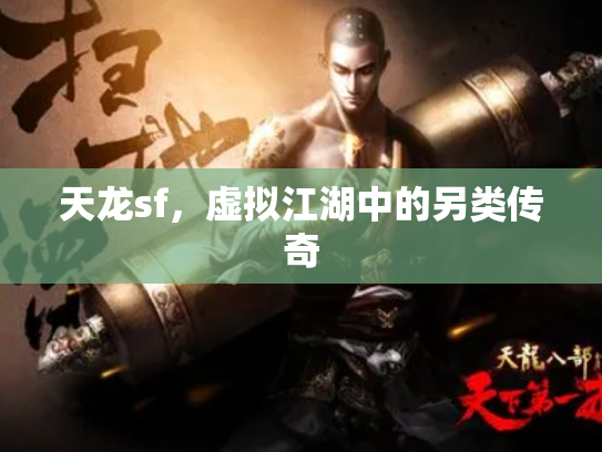 天龙sf，虚拟江湖中的另类传奇